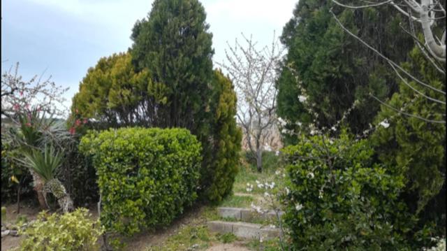 Sa Chiriasa Apartment Monti Bagian luar foto